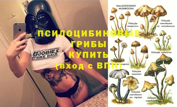 таблы Алексеевка
