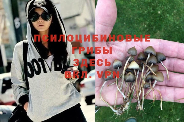 mdpv Алексин